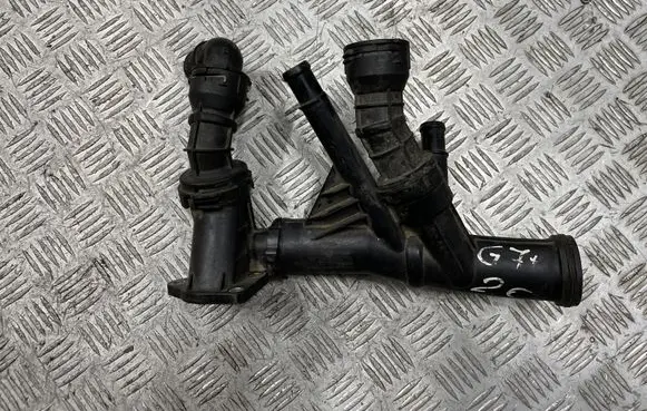 Thermostat/thermostat housing
