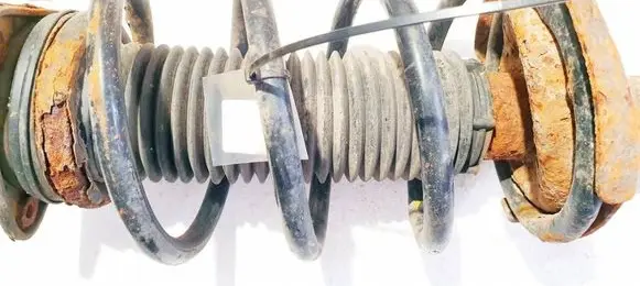Ford Focus C-MAX Front coil spring 