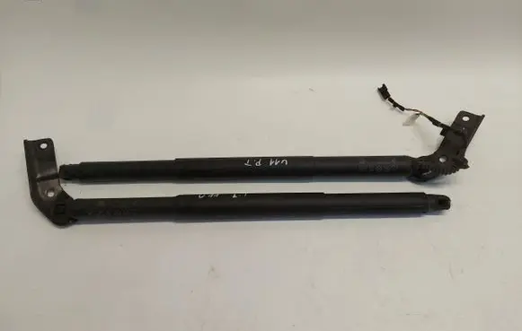 Tailgate strut