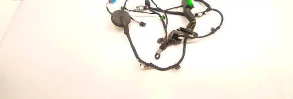 Front door wiring loom