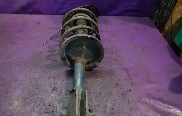 Fiat Bravo - Brava Front shock absorber with coil spring 