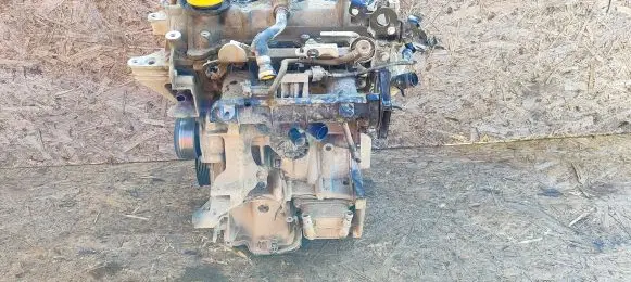 Dacia Sandero II Engine H4BG412 02919310 135020123R