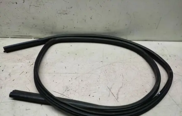 Nissan Qashqai Rubber seal front coupe door