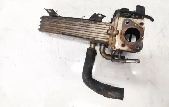 EGR valve cooler