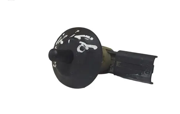 Fiat Ulysse Front door sensor 1490440080