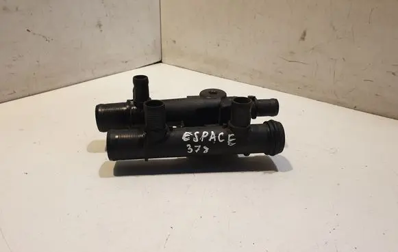 Thermostat/thermostat housing