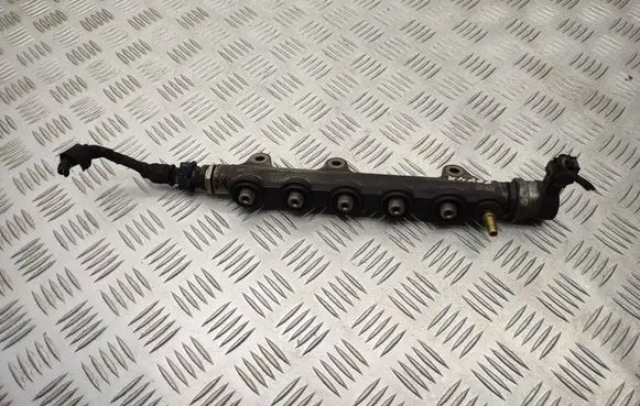Renault Laguna III Fuel main line pipe 8200842432 0445214155 0281002840