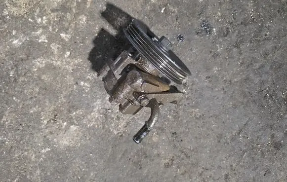 Hyundai Terracan Power steering pump