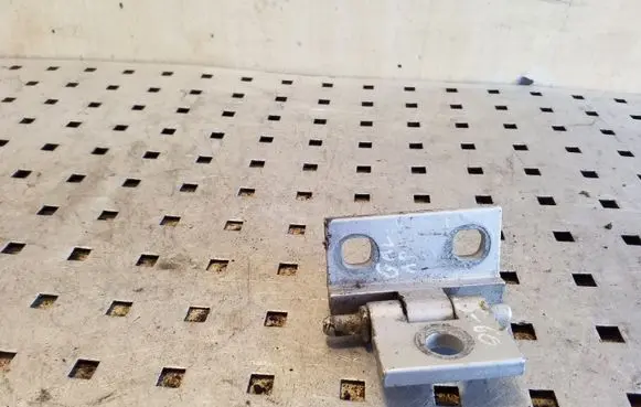 Volvo S60 Rear door lower hinge