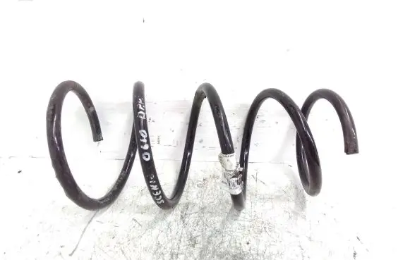 Front coil spring