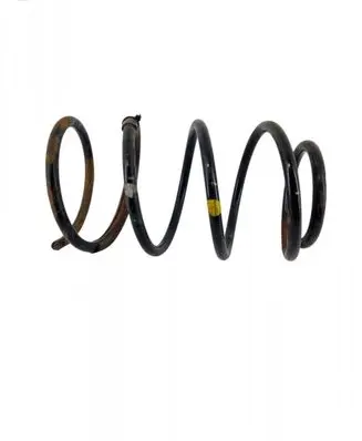 Front coil spring