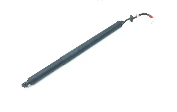 Renault Austral Tailgate/trunk strut/damper 904519468R