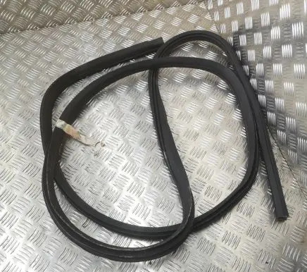 Ford F150 Front door rubber seal