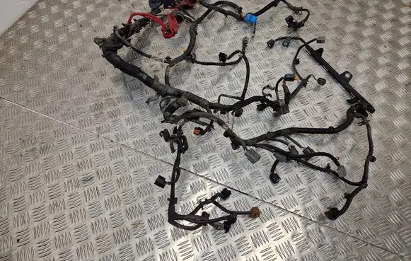 Dacia Duster Engine installation wiring loom 242965553R B94831 240119175R
