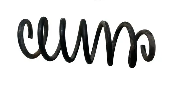 Rear coil spring