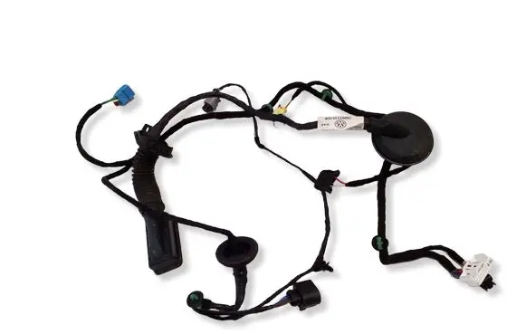 Volkswagen Touareg III Front door wiring loom 760971161DB