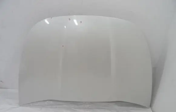 Engine bonnet/hood