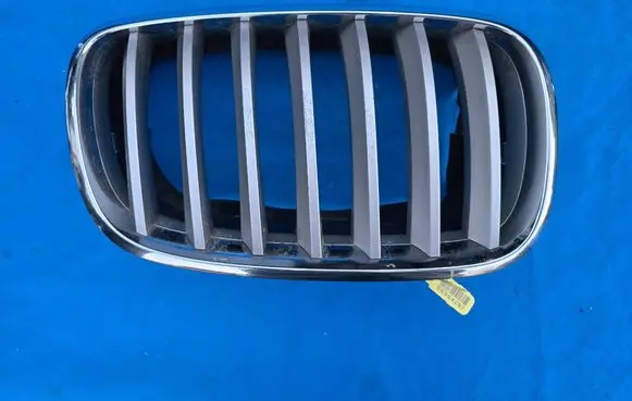 BMW X6 E71 Front grill 7171396