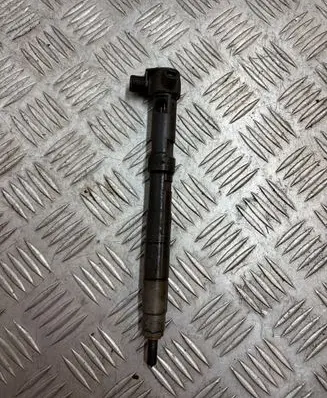 Volkswagen Polo V 6R Fuel injector 28231462 0235ED17R41