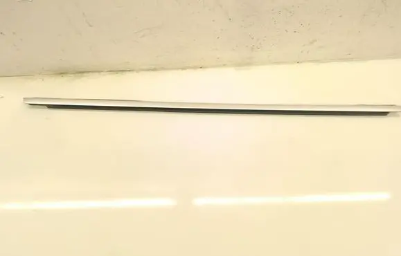 Volkswagen PASSAT CC Rear door glass trim molding 3C8839476D