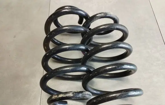 Rear coil spring