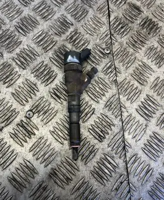 Citroen C5 Fuel injector 0445110076