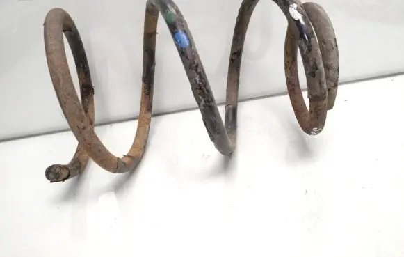 Hyundai H-1, Starex, Satellite Front coil spring