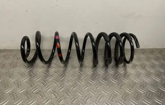 Ford Transit - Tourneo Connect Rear coil spring 