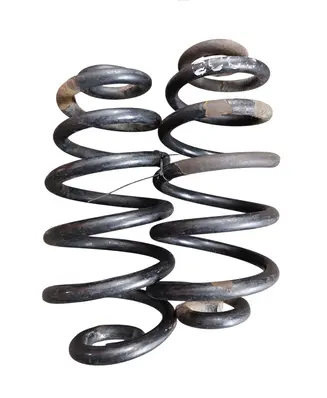 Rear coil spring
