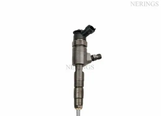 Citroen Berlingo Fuel injector 0445110566 A-0445110565
