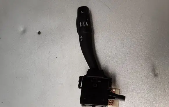Hyundai Santa Fe Light switch 202005763