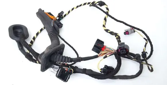 Volkswagen PASSAT CC Rear door wiring loom 3C8971693DB