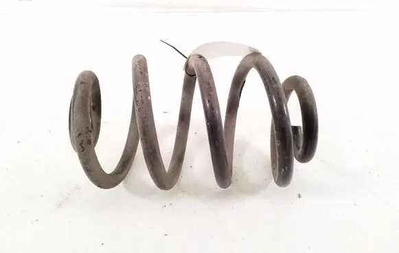 Nissan Leaf II (ZE1) Rear coil spring 550205SJ1B