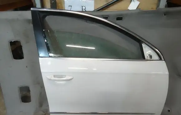 Volkswagen PASSAT B6 Front door