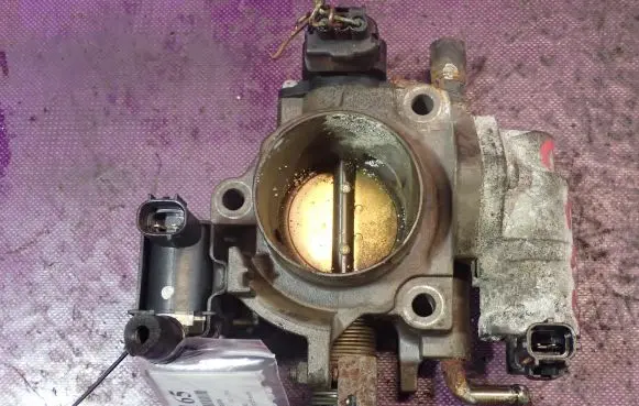 Throttle body valve