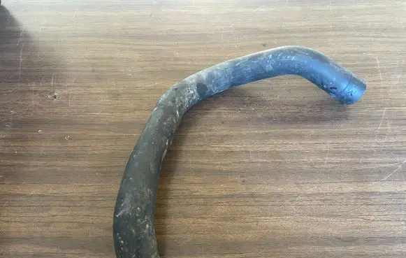 Ford Mondeo Mk III Engine coolant pipe/hose