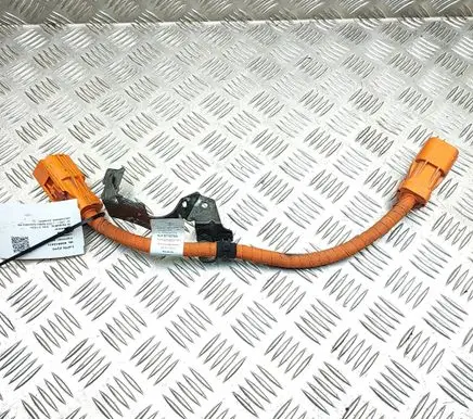 Audi E-tron GT Other wiring loom 9J1971079A
