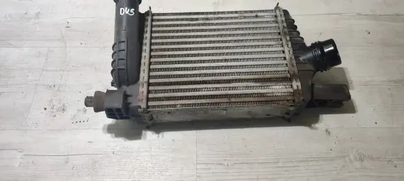 Dacia Duster II Intercooler radiator 144961381R