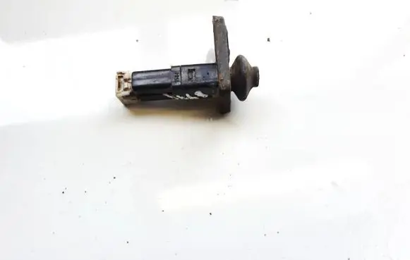 Hyundai Santa Fe Front door sensor coupe 