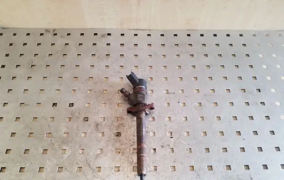 Ford Focus Fuel injector 0445110239