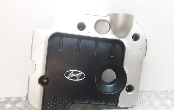 Hyundai Santa Fe Engine cover (trim)