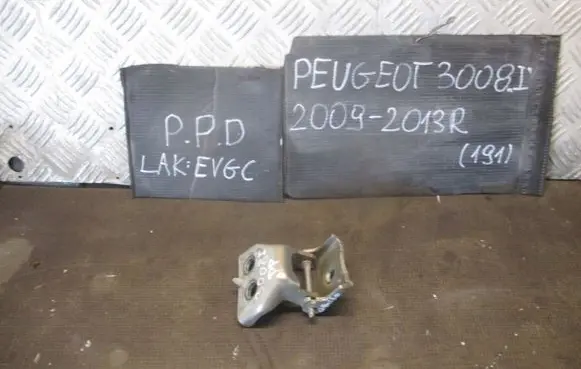 Peugeot 3008 I Front door lower hinge 