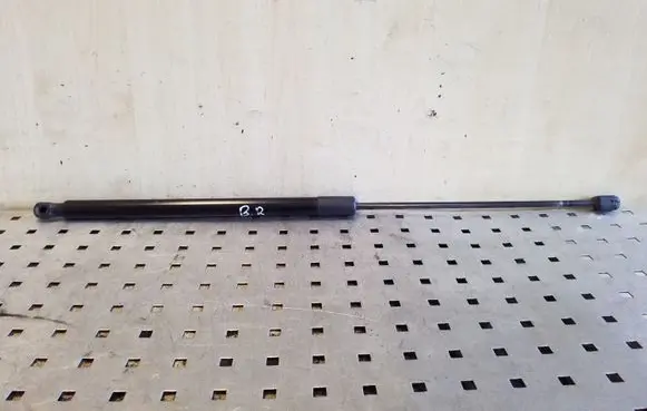 Tailgate strut