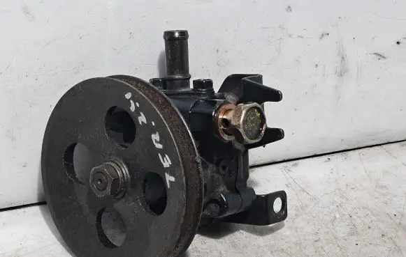 Nissan Terrano Power steering pump 491100F900