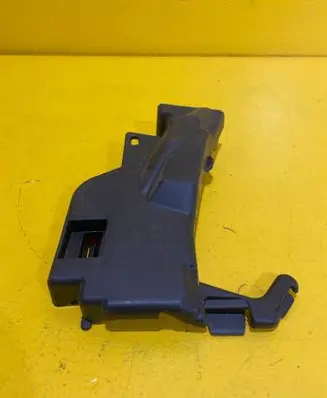 Dacia Sandero II Other rear door trim element 825199647R