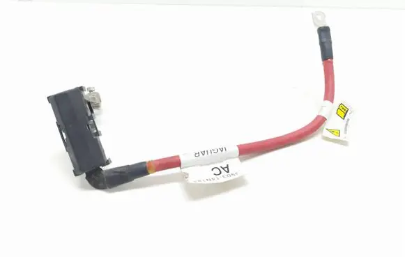 Jaguar I-Pace Positive cable (battery) J9D314N184
