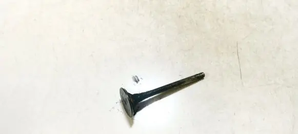 Volkswagen Tiguan Valve 