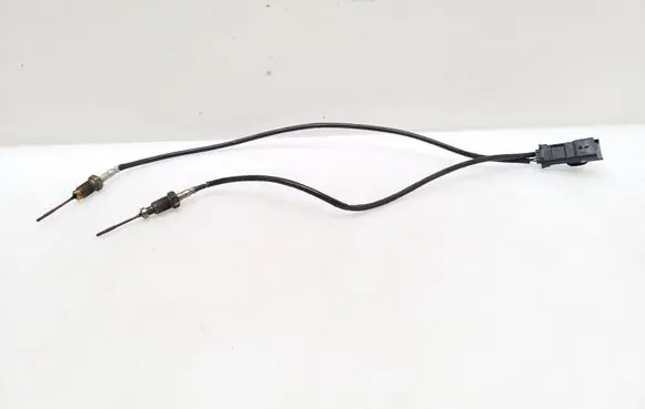 Peugeot Expert Exhaust gas temperature sensor 9807562280