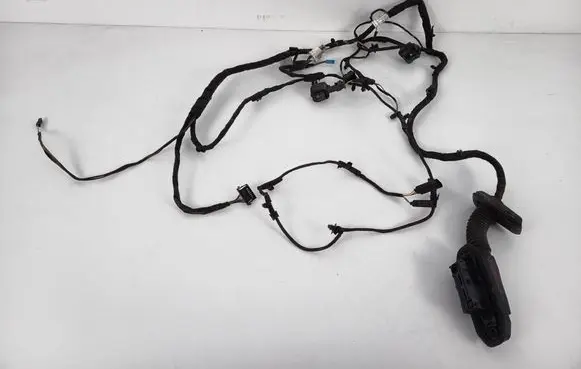 BMW 6 F06 Gran coupe Front door wiring loom 9169241 9255396