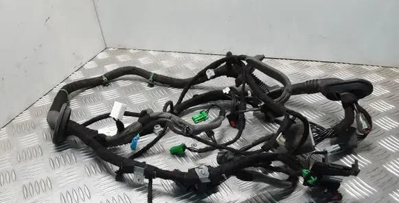 Front door wiring loom